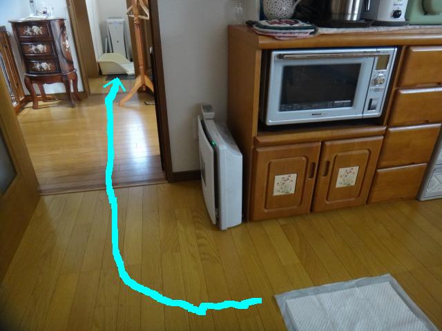 GW続きと5月の楽しみ_e0195743_1395155.jpg