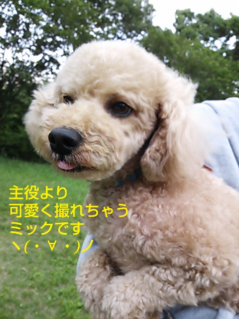 e0121548_22322550.jpg