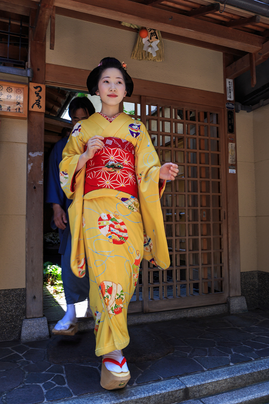 半だら挨拶回り／多麻・まめ菊さん（祇園甲部）_f0155048_02748.jpg