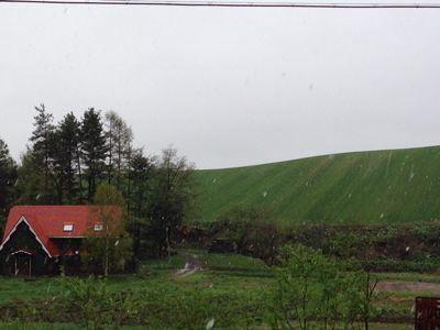 e0326953_16491132.jpg