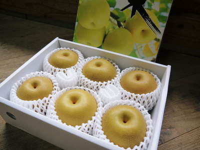 熊本梨 岩永農園 匠の摘果作業!その2「数じゃなかとたい!美味か梨ば育てにゃんとたい!!」_a0254656_1864152.jpg