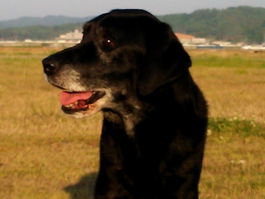 b0114559_09384491.jpg
