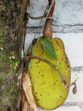c0127460_21395210.jpg