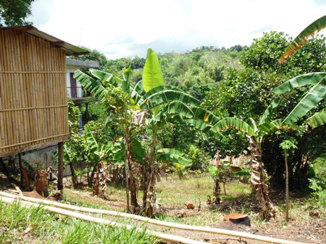 c0127460_2141557.jpg