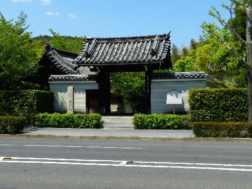 春の京都ひとり旅(十一)　法金剛院_d0084473_2037501.jpg