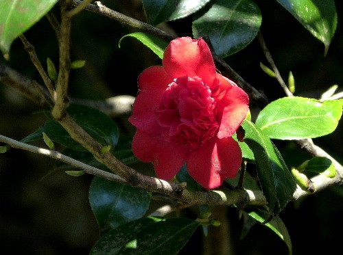 d0084473_20381655.jpg