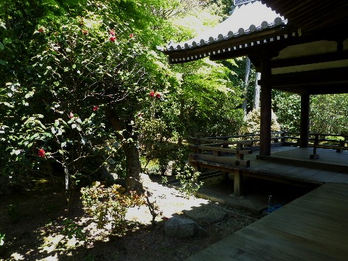 d0084473_2038978.jpg