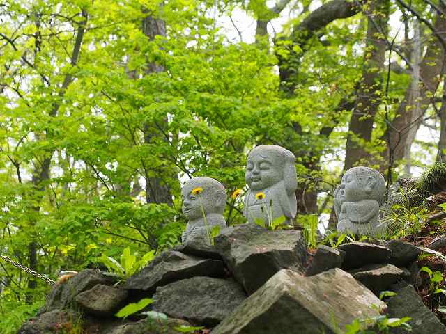 伊達善光寺自然公園・洞爺壮瞥公園梅林方面バスツアー_a0151577_13544148.jpg