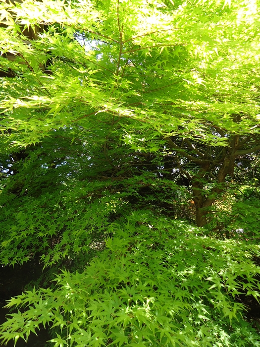 a0199979_20251592.jpg