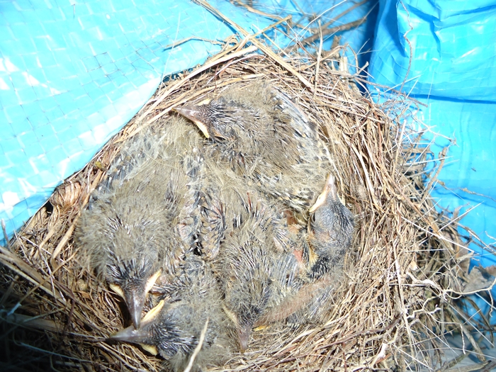 a0199979_20333528.jpg