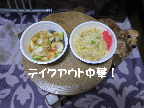朝起きて寝る寸前まで仕事！_b0200291_21351169.jpg