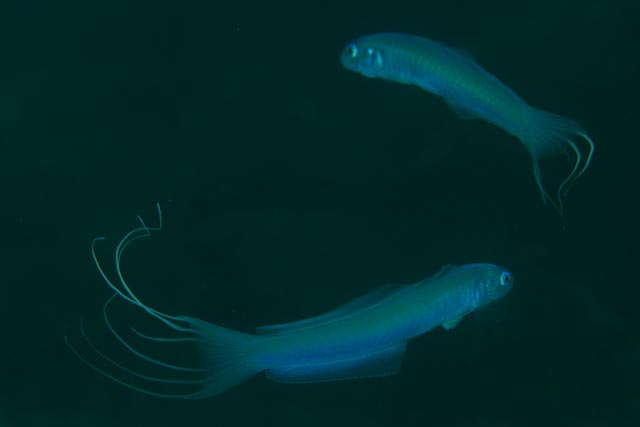 e0064291_21271269.jpg