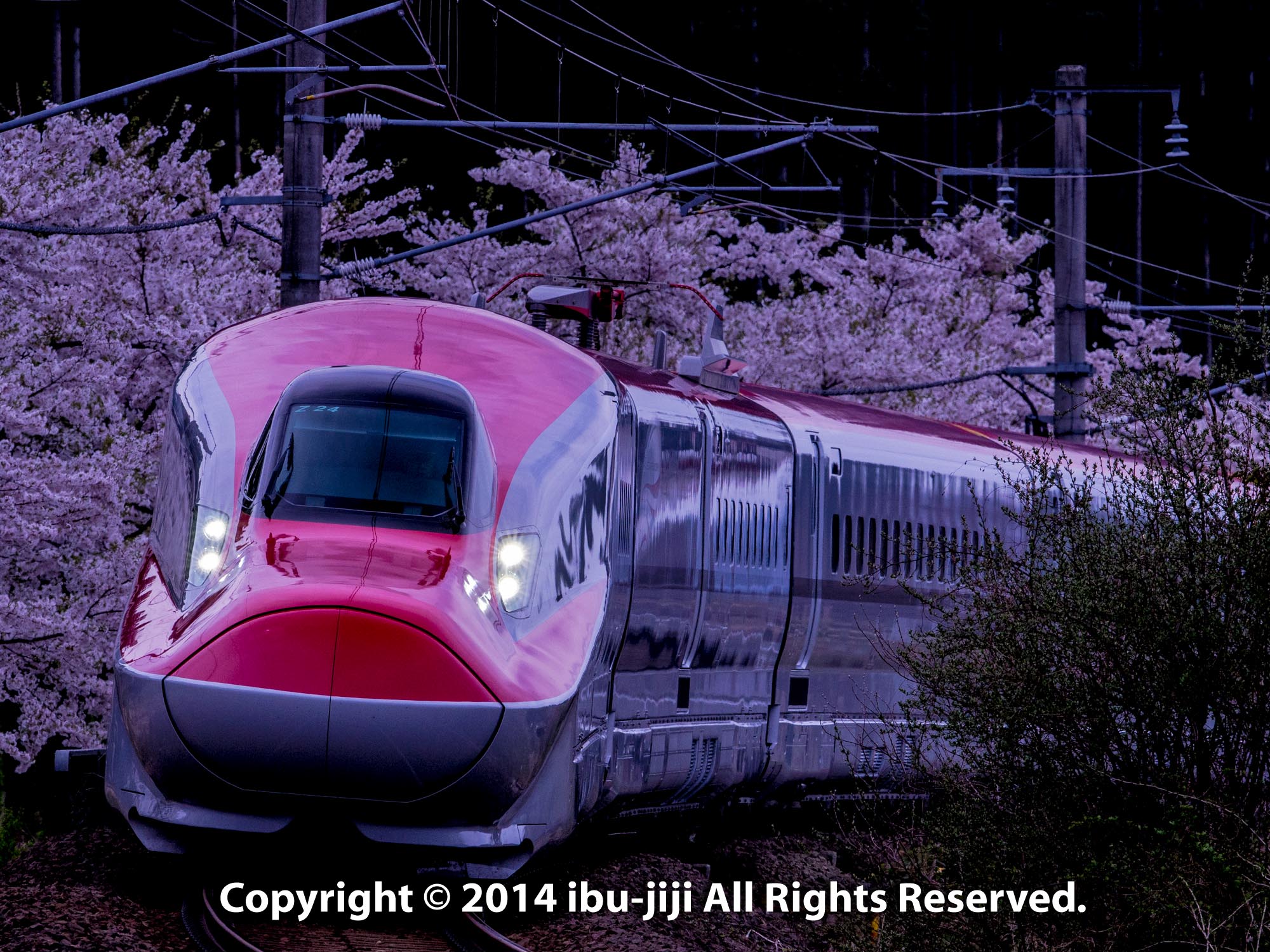 E6系秋田新幹線こまち 我が街で撮影できた桜コラボ Ibuじいフォトルーム E6系秋田新幹線こまち 我が街で撮影できた桜コラボ Ibuじいフォトルーム