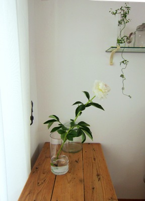 芍薬と 牡丹と 盛りだくさん♪_d0249193_12413189.jpg