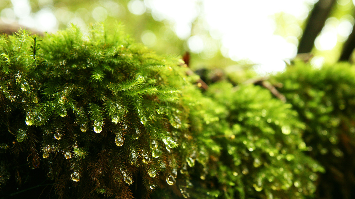 c0025895_048528.jpg