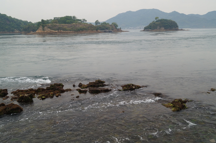 a0206496_9185717.jpg
