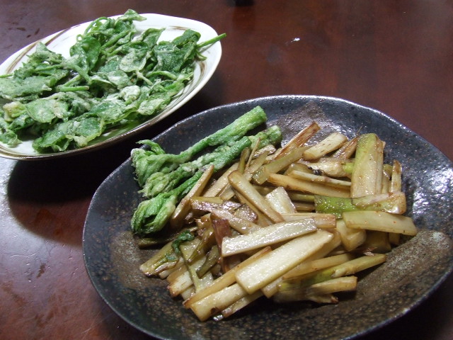 f0019498_15335089.jpg