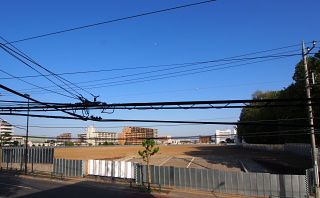 c0039501_1745756.jpg