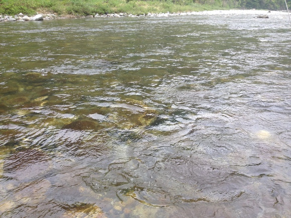 d0241509_1621164.jpg