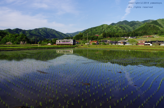 田植えが終わり..._d0309612_084017.jpg