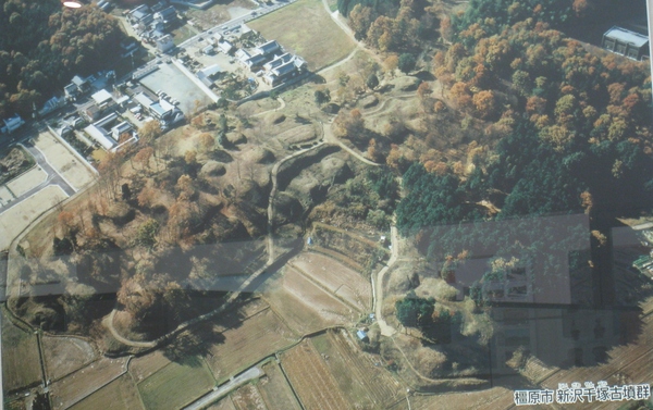 d0287413_13184138.jpg