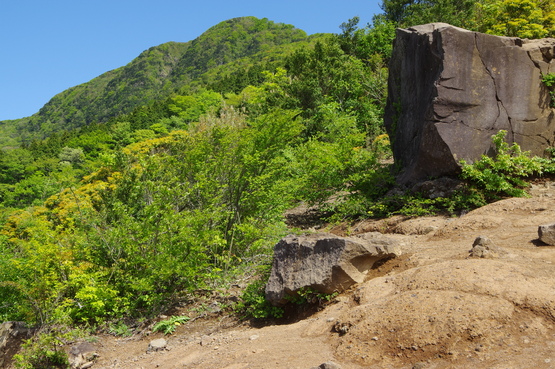 新緑の金時山_f0097913_19113758.jpg