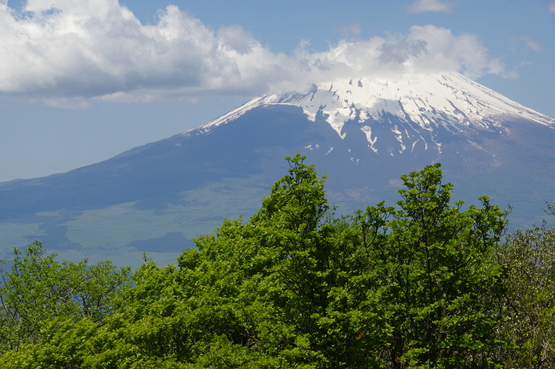 新緑の金時山_f0097913_1917672.jpg