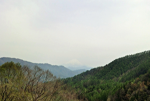 d0221319_8584872.jpg