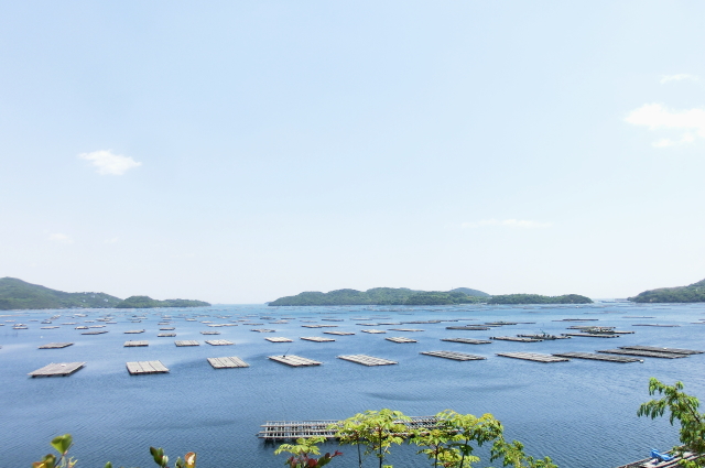 海の風景と山と川の風景と～_f0248120_904285.jpg