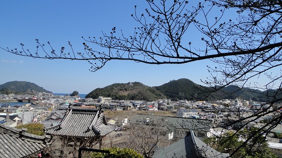 第二十三番　　薬王寺　　２０１４・５・１７_f0000521_4542829.jpg