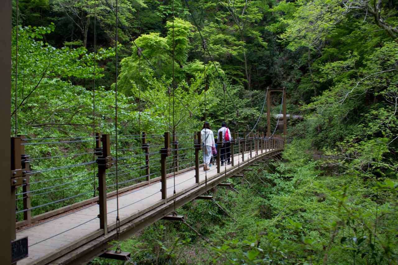 高尾山 その20_a0016730_21322631.jpg