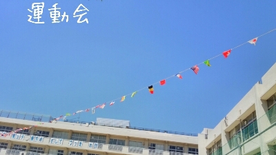 c0267235_2236541.jpg
