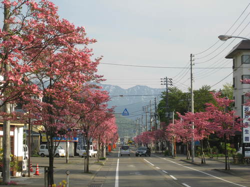 a0158236_8532527.jpg