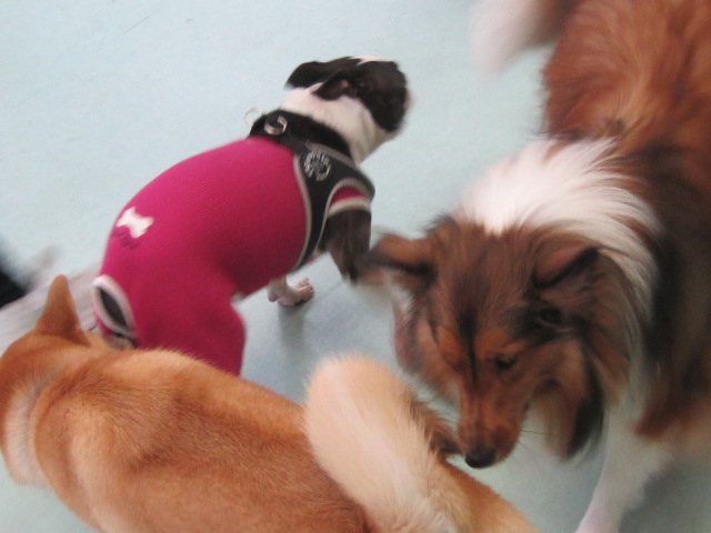 c0265837_2141237.jpg