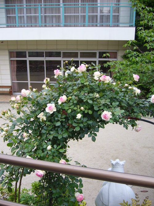 a0250338_74087.jpg