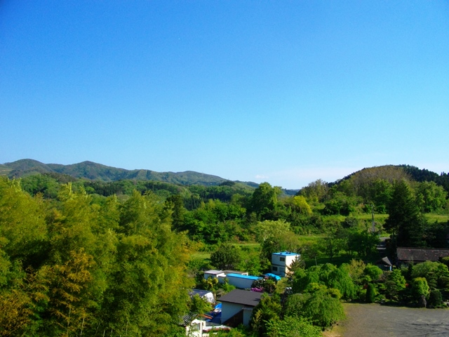 c0101739_1645135.jpg