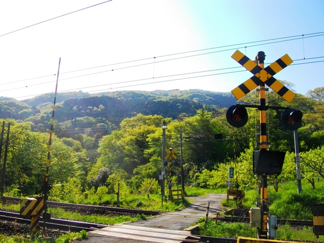 c0101739_1645457.jpg