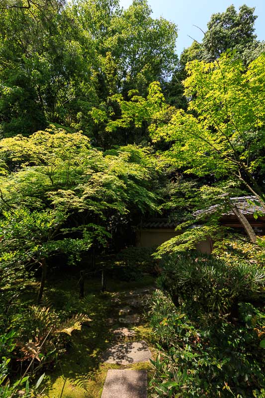 新緑の大徳寺高桐院へ_b0325840_21125831.jpg