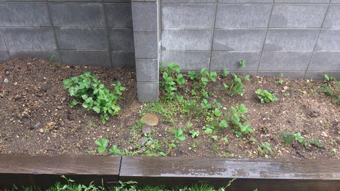 e0255945_012251.jpg