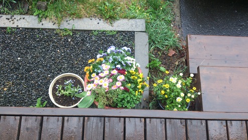 e0255945_0144250.jpg