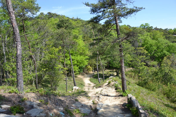 ブログ１２号（鬼ノ城山　見所満載朝鮮式古代山城）_d0320746_13465111.jpg