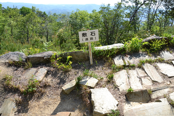 ブログ１２号（鬼ノ城山　見所満載朝鮮式古代山城）_d0320746_13484381.jpg