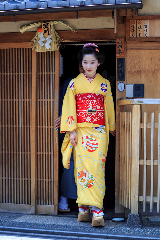 半だら挨拶回り／多麻・まめ菊さん（祇園甲部）_f0155048_0123643.jpg