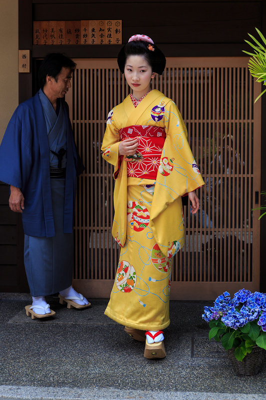 半だら挨拶回り／多麻・まめ菊さん（祇園甲部）_f0155048_065150.jpg