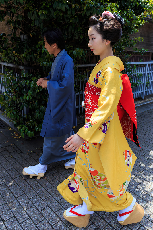 半だら挨拶回り／多麻・まめ菊さん（祇園甲部）_f0155048_072920.jpg