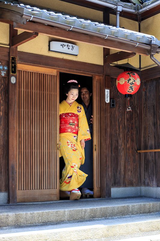 半だら挨拶回り／多麻・まめ菊さん（祇園甲部）_f0155048_09672.jpg