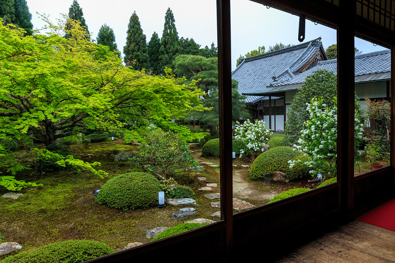 花海棠咲く雲龍院_f0155048_23471887.jpg