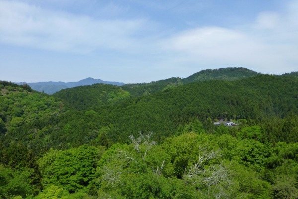 吉野山　１_a0226853_1325595.jpg