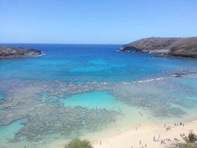 今日もきれいなハナウマ湾_b0126453_107861.jpg