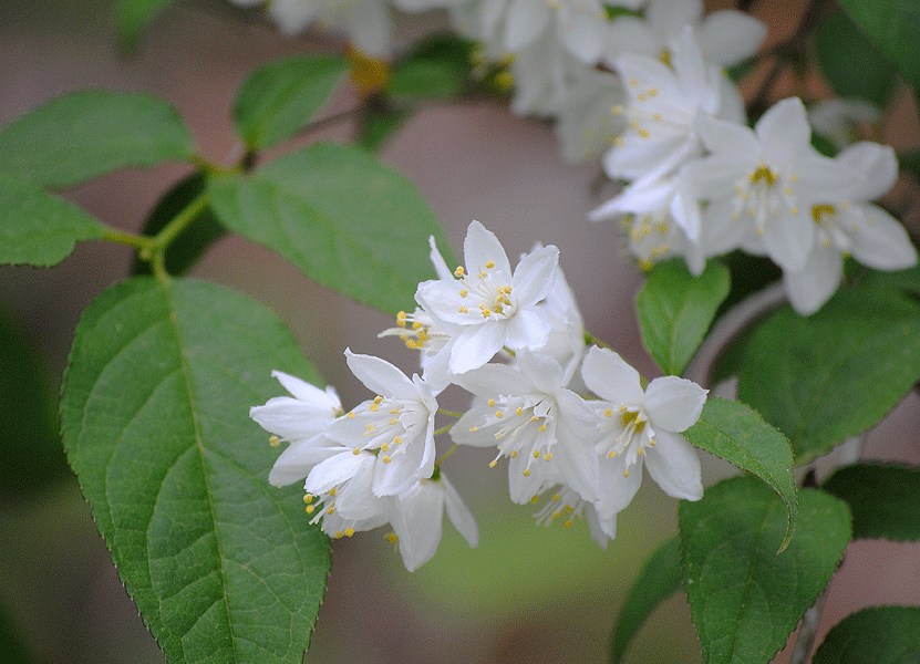 a0001354_2326914.gif